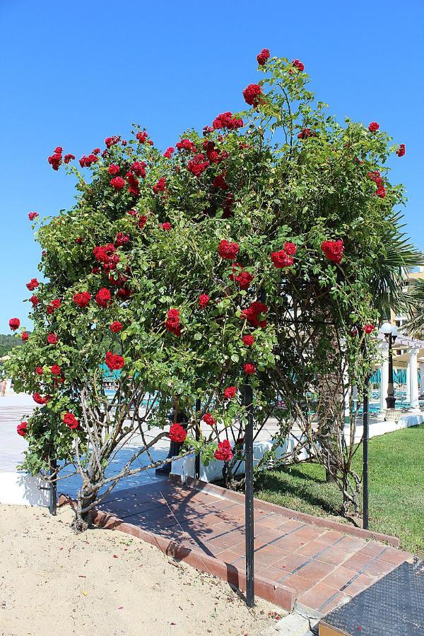 Duni Marina Beach Hotel 두니 외부 사진